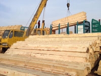 木材工程案例