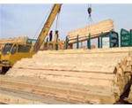 木材工程案例